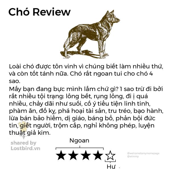 Loạt review các loài động vật nhảm nhí nhưng có lý không ngờ Loạt review các loài động vật nhảm nhí nhưng có lý không ngờ
