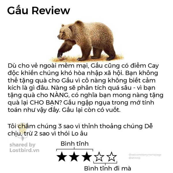 Loạt review các loài động vật nhảm nhí nhưng có lý không ngờ Loạt review các loài động vật nhảm nhí nhưng có lý không ngờ