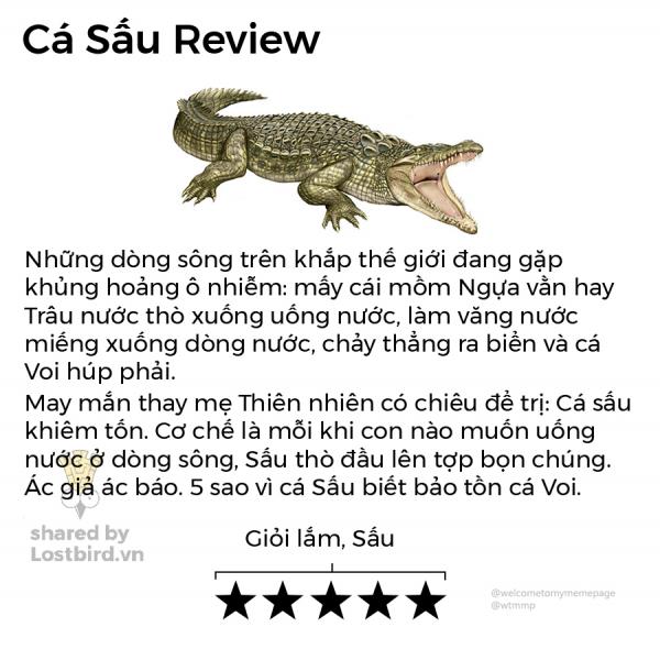 Loạt review các loài động vật nhảm nhí nhưng có lý không ngờ Loạt review các loài động vật nhảm nhí nhưng có lý không ngờ