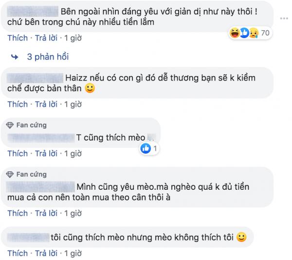 Sếp cưng mèo đến mức mang vào văn phòng chăm sóc khiến nhân viên cười thầm vì quá đáng yêu Sếp cưng mèo đến mức mang vào văn phòng chăm sóc khiến nhân viên cười thầm vì quá đáng yêu