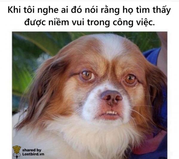 Nỗi niềm 'mỗi ngày đi làm không là một ngày vui' của dân văn phòng Nỗi niềm 'mỗi ngày đi làm không là một ngày vui' của dân văn phòng