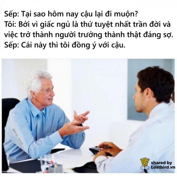 Nỗi niềm 'mỗi ngày đi làm không là một ngày vui' của dân văn phòng Nỗi niềm 'mỗi ngày đi làm không là một ngày vui' của dân văn phòng