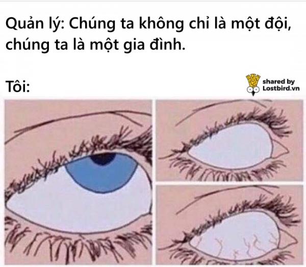 Nỗi niềm 'mỗi ngày đi làm không là một ngày vui' của dân văn phòng Nỗi niềm 'mỗi ngày đi làm không là một ngày vui' của dân văn phòng