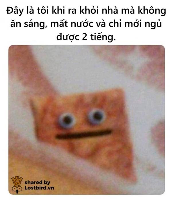 Nỗi niềm 'mỗi ngày đi làm không là một ngày vui' của dân văn phòng Nỗi niềm 'mỗi ngày đi làm không là một ngày vui' của dân văn phòng