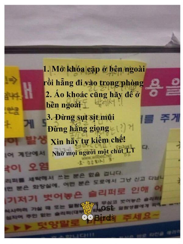 Tuyển tập những mẩu tin nhắn 'hết hồn hà' trong thư viện Hàn Quốc Tuyển tập những mẩu tin nhắn 'hết hồn hà' trong thư viện Hàn Quốc