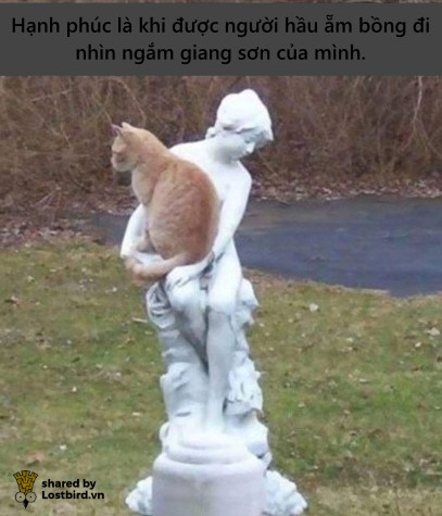 Loạt meme hài hước chỉ những người nuôi mèo mới hiểu Loạt meme hài hước chỉ những người nuôi mèo mới hiểu