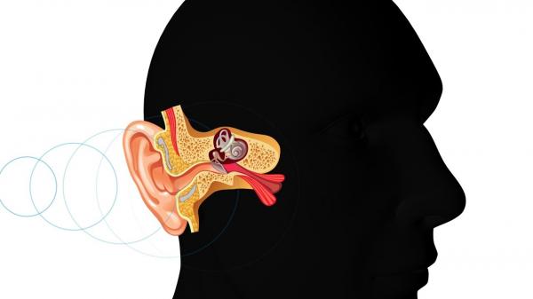 Tại sao người ta không nhận ra giọng nói của mình, thậm chí còn chán ghét khi nghe lại nó? Tại sao người ta không nhận ra giọng nói của mình, thậm chí còn chán ghét khi nghe lại nó?