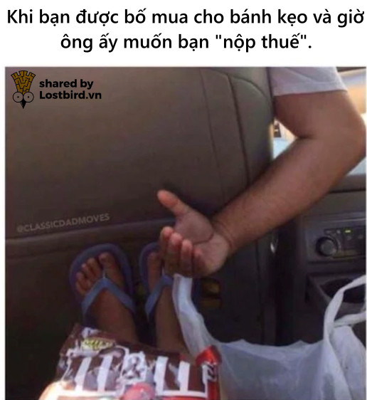 Nghìn lẻ một tình huống dở khóc dở cười của các phụ huynh bỉm sữa lần đầu nuôi dạy con cái Nghìn lẻ một tình huống dở khóc dở cười của các phụ huynh bỉm sữa lần đầu nuôi dạy con cái
