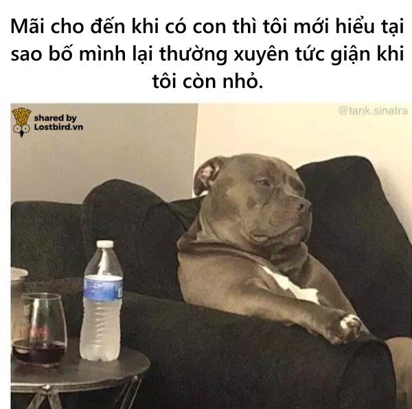 Nghìn lẻ một tình huống dở khóc dở cười của các phụ huynh bỉm sữa lần đầu nuôi dạy con cái Nghìn lẻ một tình huống dở khóc dở cười của các phụ huynh bỉm sữa lần đầu nuôi dạy con cái