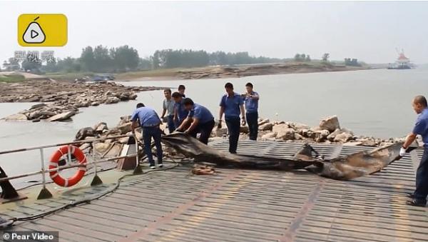 'Quái vật hồ Loch Ness của Trung Quốc' gây xôn xao một vùng hoá ra chỉ là miếng rác cao su khổng lồ 'Quái vật hồ Loch Ness của Trung Quốc' gây xôn xao một vùng hoá ra chỉ là miếng rác cao su khổng lồ