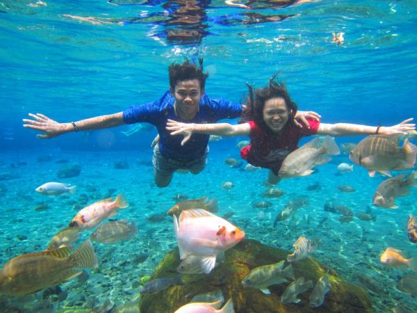 Vũng ao làng kỳ lạ ở Indonesia trở thành địa điểm nổi tiếng để chụp ảnh dưới nước Vũng ao làng kỳ lạ ở Indonesia trở thành địa điểm nổi tiếng để chụp ảnh dưới nước
