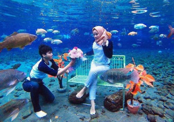 Vũng ao làng kỳ lạ ở Indonesia trở thành địa điểm nổi tiếng để chụp ảnh dưới nước Vũng ao làng kỳ lạ ở Indonesia trở thành địa điểm nổi tiếng để chụp ảnh dưới nước
