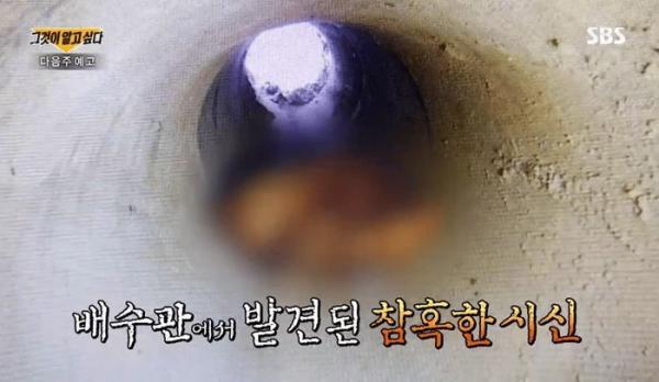 Hàn Quốc bất ngờ lật lại cái chết bí ẩn của nữ sinh 'sơn móng tay đỏ' tại Pocheon cách đây 15 năm Hàn Quốc bất ngờ lật lại cái chết bí ẩn của nữ sinh 'sơn móng tay đỏ' tại Pocheon cách đây 15 năm