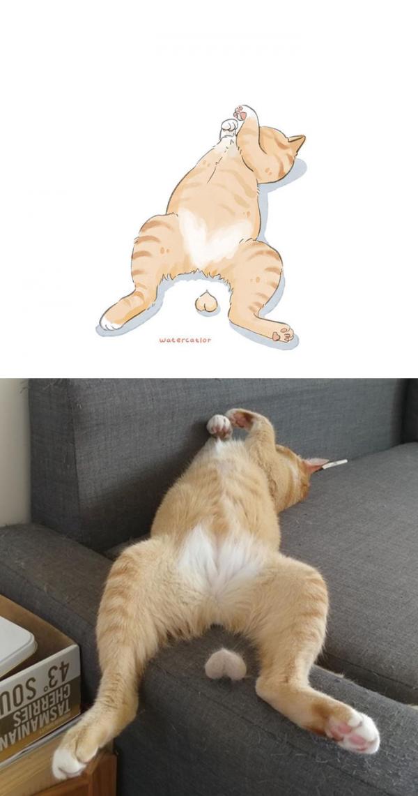 Khi những bức meme mèo trên internet được vẽ lại bằng ‘màu nước’ cute đến lạ Khi những bức meme mèo trên internet được vẽ lại bằng ‘màu nước’ cute đến lạ