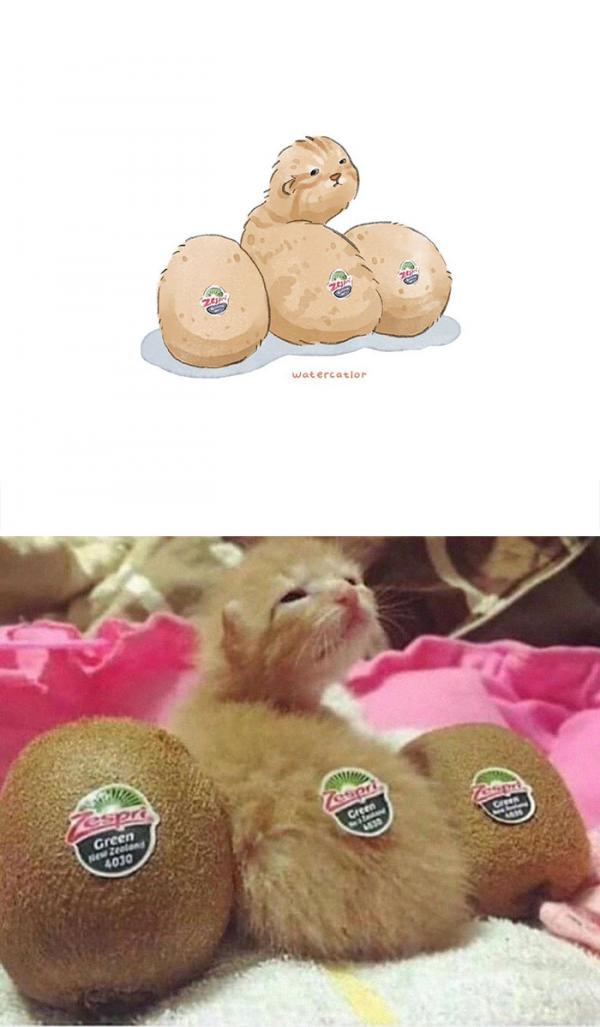 Khi những bức meme mèo trên internet được vẽ lại bằng ‘màu nước’ cute đến lạ Khi những bức meme mèo trên internet được vẽ lại bằng ‘màu nước’ cute đến lạ