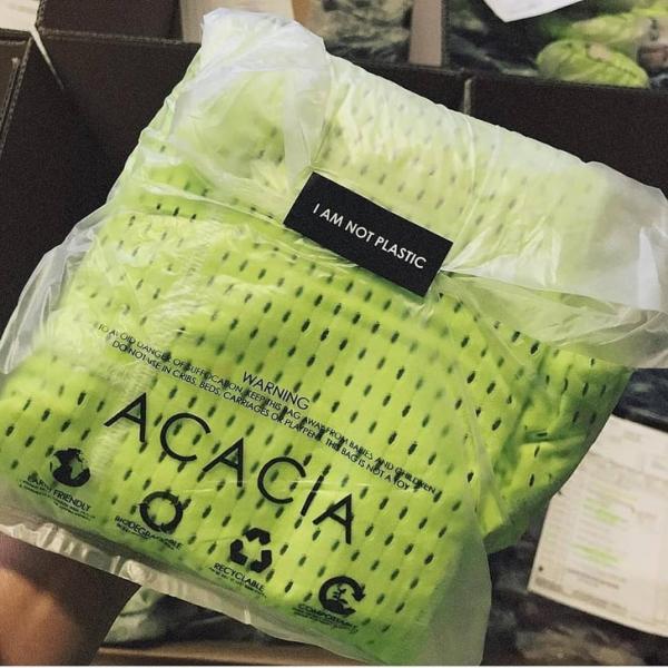 Các nhà khoa học đã làm gì để cứu lấy đại dương đang kêu cứu trong vô vọng? Các nhà khoa học đã làm gì để cứu lấy đại dương đang kêu cứu trong vô vọng?