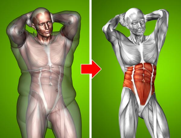 Bên cạnh tập tành và ăn kiêng, còn 6 giải pháp khởi động cơ chế đốt mỡ tự nhiên của cơ thể Bên cạnh tập tành và ăn kiêng, còn 6 giải pháp khởi động cơ chế đốt mỡ tự nhiên của cơ thể