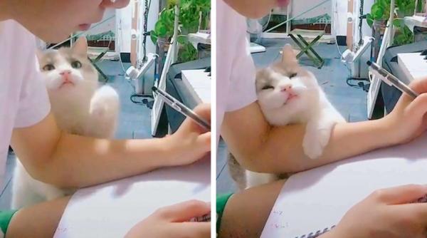 20 khoảnh khắc tình yêu hiện hữu mà không cần biểu đạt bằng ngôn ngữ 20 khoảnh khắc tình yêu hiện hữu mà không cần biểu đạt bằng ngôn ngữ