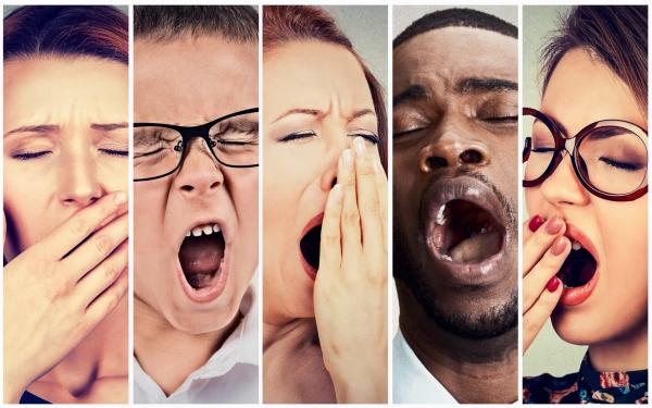 Đâu là câu hỏi 'Tại sao?' được tìm kiếm nhiều nhất trên Google? Đâu là câu hỏi 'Tại sao?' được tìm kiếm nhiều nhất trên Google?