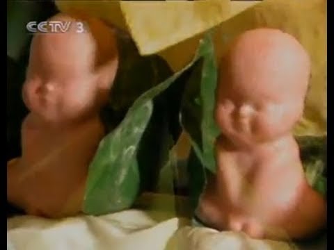 Jinmenju – Loài quả yêu quái với khuôn mặt cười gây ám ảnh của xứ Phù Tang Jinmenju – Loài quả yêu quái với khuôn mặt cười gây ám ảnh của xứ Phù Tang