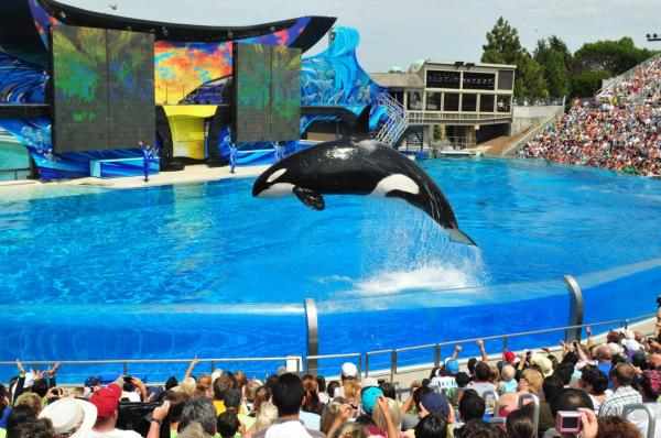 TripAdvisor ngừng bán các loại vé tham quan SeaWorld cùng rất nhiều công viên đại dương khác TripAdvisor ngừng bán các loại vé tham quan SeaWorld cùng rất nhiều công viên đại dương khác