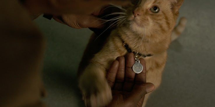10 bí mật ẩn giấu trong trailer 2 của siêu phẩm 'Captain Marvel', bạn đã bỏ lỡ điều gì? 10 bí mật ẩn giấu trong trailer 2 của siêu phẩm 'Captain Marvel', bạn đã bỏ lỡ điều gì?