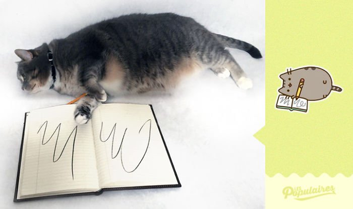 Nhận ra mèo cưng quá giống Pusheen trong truyền thuyết, chàng nghệ sĩ ra tay làm ngay bộ ảnh để đời Nhận ra mèo cưng quá giống Pusheen trong truyền thuyết, chàng nghệ sĩ ra tay làm ngay bộ ảnh để đời