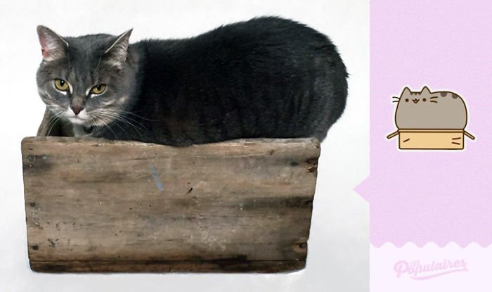 Nhận ra mèo cưng quá giống Pusheen trong truyền thuyết, chàng nghệ sĩ ra tay làm ngay bộ ảnh để đời Nhận ra mèo cưng quá giống Pusheen trong truyền thuyết, chàng nghệ sĩ ra tay làm ngay bộ ảnh để đời