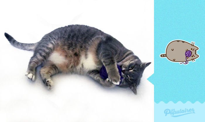Nhận ra mèo cưng quá giống Pusheen trong truyền thuyết, chàng nghệ sĩ ra tay làm ngay bộ ảnh để đời Nhận ra mèo cưng quá giống Pusheen trong truyền thuyết, chàng nghệ sĩ ra tay làm ngay bộ ảnh để đời
