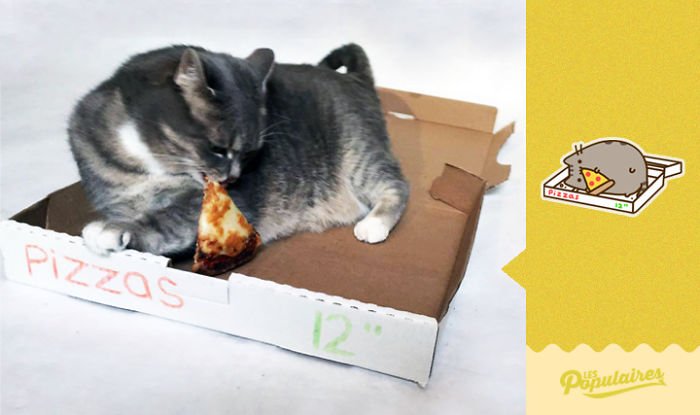 Nhận ra mèo cưng quá giống Pusheen trong truyền thuyết, chàng nghệ sĩ ra tay làm ngay bộ ảnh để đời Nhận ra mèo cưng quá giống Pusheen trong truyền thuyết, chàng nghệ sĩ ra tay làm ngay bộ ảnh để đời