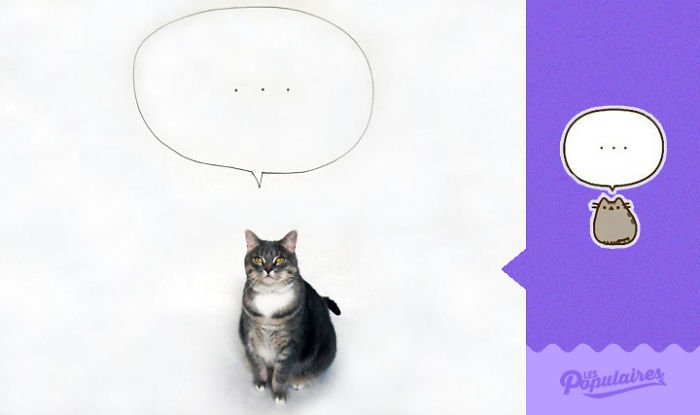 Nhận ra mèo cưng quá giống Pusheen trong truyền thuyết, chàng nghệ sĩ ra tay làm ngay bộ ảnh để đời Nhận ra mèo cưng quá giống Pusheen trong truyền thuyết, chàng nghệ sĩ ra tay làm ngay bộ ảnh để đời