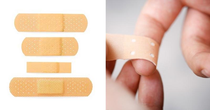Vài vết liếm yêu của thú cưng cũng có thể dẫn đến cái chết cho chủ nhân Vài vết liếm yêu của thú cưng cũng có thể dẫn đến cái chết cho chủ nhân