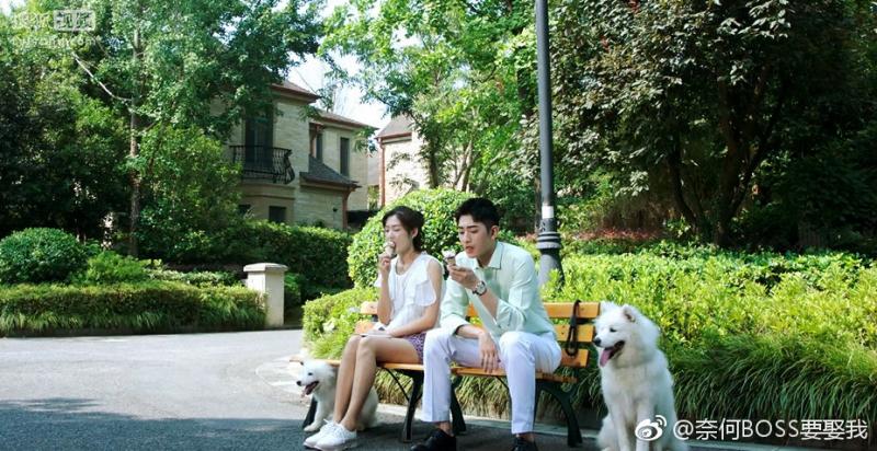 'Tại Sao Boss Muốn Cưới Tôi': Quá nhiều sự đẹp trai và cảnh sủng nịnh trong một bộ phim 'Tại Sao Boss Muốn Cưới Tôi': Quá nhiều sự đẹp trai và cảnh sủng nịnh trong một bộ phim