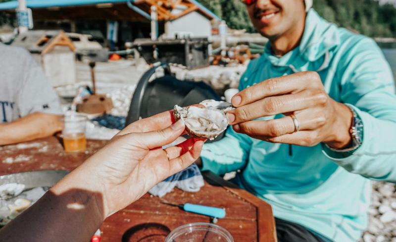 Loạt fact kì thú về động vật mà có thể bạn chưa được học trong giờ Sinh Loạt fact kì thú về động vật mà có thể bạn chưa được học trong giờ Sinh