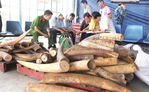 Bà trùm buôn lậu ngà voi Trung Quốc bị chính phủ Tanzania kết án 15 năm tù giam Bà trùm buôn lậu ngà voi Trung Quốc bị chính phủ Tanzania kết án 15 năm tù giam