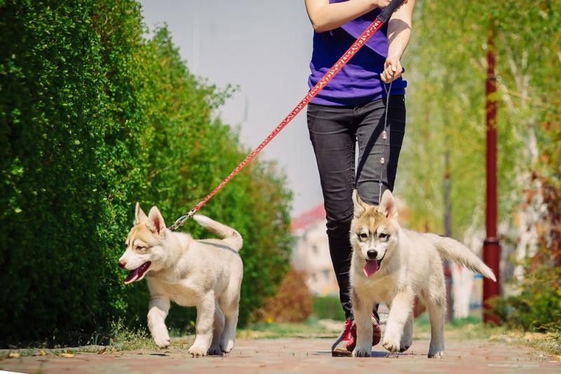 10 bí kíp giúp các 'con sen' lấy lòng boss 10 bí kíp giúp các 'con sen' lấy lòng boss