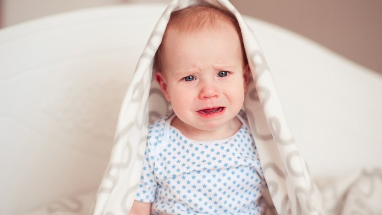 Những sự kiện lịch sử xứng đáng được dựng thành phim (Kỳ 2): Hai ngày ngừng bắn để xem bóng đá và cuộc chiến tranh bắt nguồn từ một con lợn Những sự kiện lịch sử xứng đáng được dựng thành phim (Kỳ 2): Hai ngày ngừng bắn để xem bóng đá và cuộc chiến tranh bắt nguồn từ một con lợn