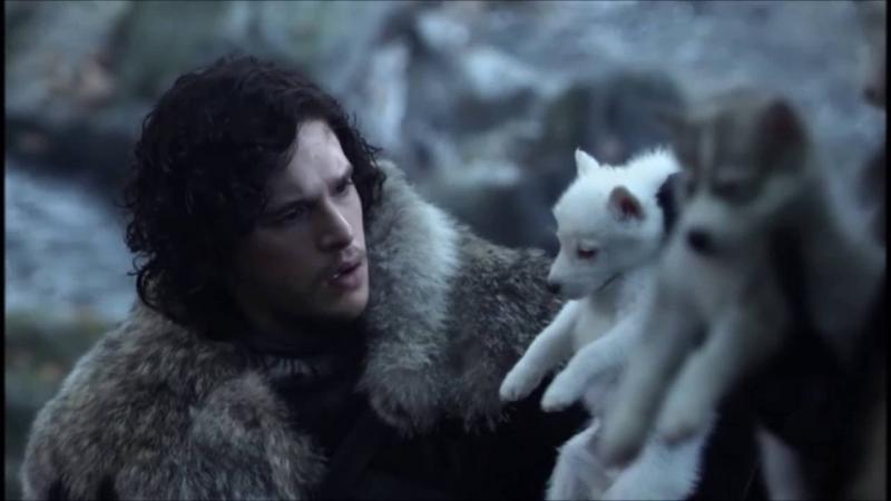 Diễn viên 'Game of Thrones' cảnh báo: Chó Husky bị bỏ rơi nhiều hơn kể từ khi phim ra mắt Diễn viên 'Game of Thrones' cảnh báo: Chó Husky bị bỏ rơi nhiều hơn kể từ khi phim ra mắt