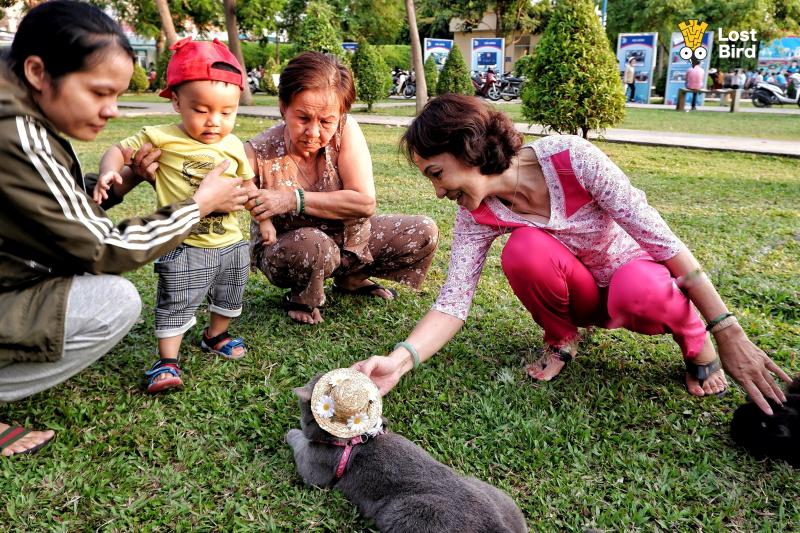 Dạo phố với Tèo - Em mèo 'nhà người ta' biết phụ chủ chạy xe ôm kiếm tiền mua cá Dạo phố với Tèo - Em mèo 'nhà người ta' biết phụ chủ chạy xe ôm kiếm tiền mua cá