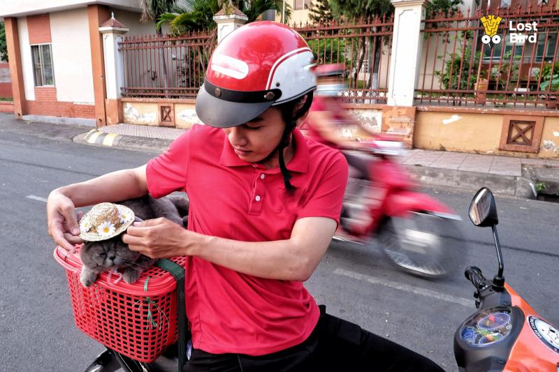 Dạo phố với Tèo - Em mèo 'nhà người ta' biết phụ chủ chạy xe ôm kiếm tiền mua cá Dạo phố với Tèo - Em mèo 'nhà người ta' biết phụ chủ chạy xe ôm kiếm tiền mua cá