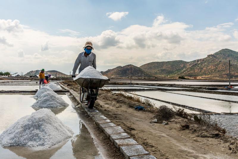 Đẹp như thơ - phiên chợ cá buổi sáng sớm ở Phan Rang qua đôi mắt của nhiếp ảnh gia người Canada Đẹp như thơ - phiên chợ cá buổi sáng sớm ở Phan Rang qua đôi mắt của nhiếp ảnh gia người Canada