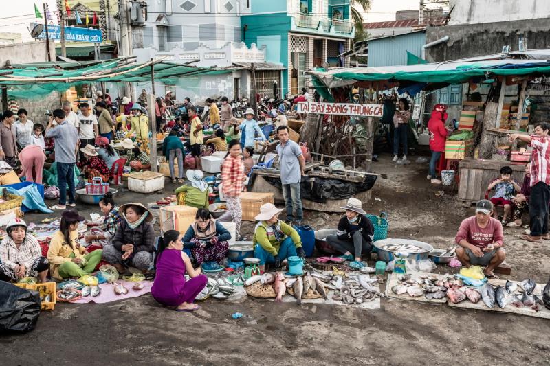 Đẹp như thơ - phiên chợ cá buổi sáng sớm ở Phan Rang qua đôi mắt của nhiếp ảnh gia người Canada Đẹp như thơ - phiên chợ cá buổi sáng sớm ở Phan Rang qua đôi mắt của nhiếp ảnh gia người Canada