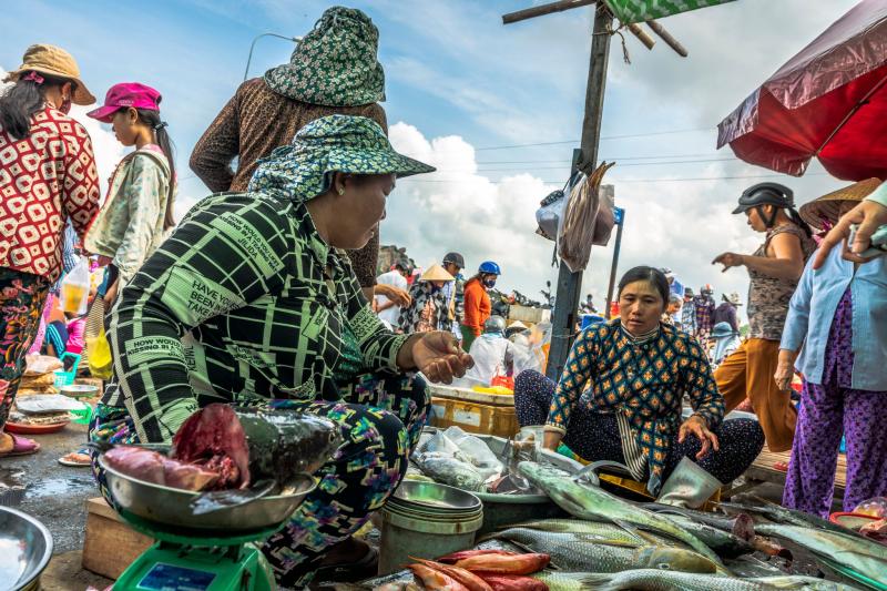 Đẹp như thơ - phiên chợ cá buổi sáng sớm ở Phan Rang qua đôi mắt của nhiếp ảnh gia người Canada Đẹp như thơ - phiên chợ cá buổi sáng sớm ở Phan Rang qua đôi mắt của nhiếp ảnh gia người Canada