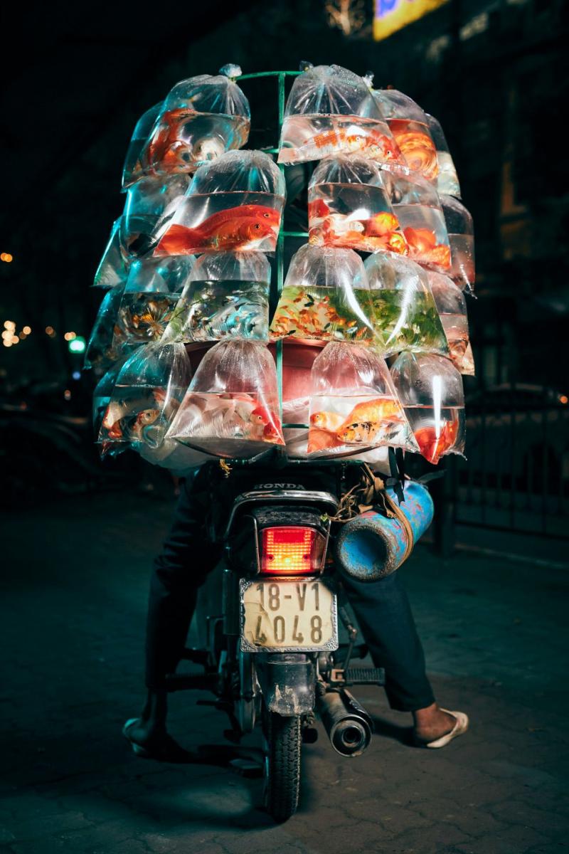 Hà Nội: Thành phố của những chiếc xe máy siêu tải thần kì qua mắt nhiếp ảnh gia người Anh Hà Nội: Thành phố của những chiếc xe máy siêu tải thần kì qua mắt nhiếp ảnh gia người Anh