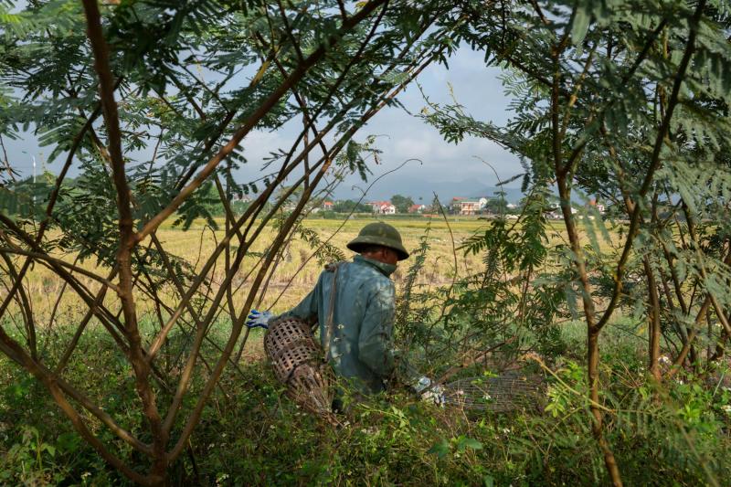 Theo chân nhiếp ảnh gia người Anh tìm hiểu văn hóa ăn thịt chuột lắm sự lạ lùng của Việt Nam Theo chân nhiếp ảnh gia người Anh tìm hiểu văn hóa ăn thịt chuột lắm sự lạ lùng của Việt Nam