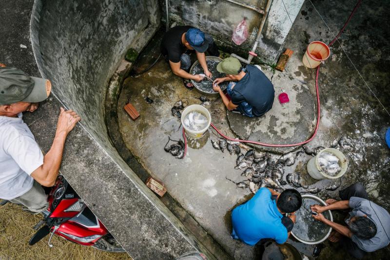 Theo chân nhiếp ảnh gia người Anh tìm hiểu văn hóa ăn thịt chuột lắm sự lạ lùng của Việt Nam Theo chân nhiếp ảnh gia người Anh tìm hiểu văn hóa ăn thịt chuột lắm sự lạ lùng của Việt Nam