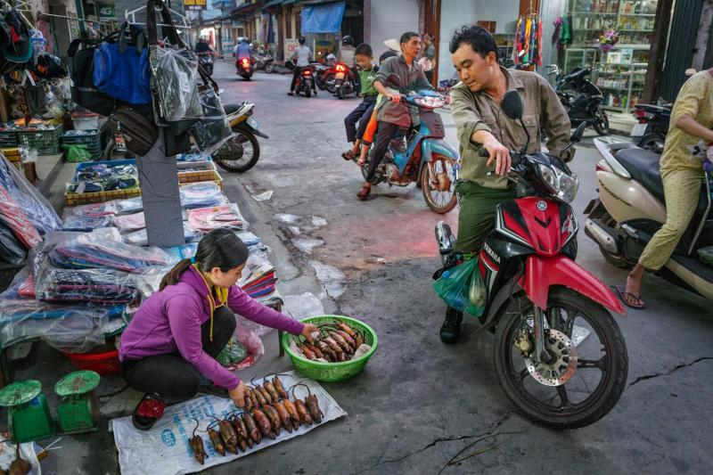 Theo chân nhiếp ảnh gia người Anh tìm hiểu văn hóa ăn thịt chuột lắm sự lạ lùng của Việt Nam Theo chân nhiếp ảnh gia người Anh tìm hiểu văn hóa ăn thịt chuột lắm sự lạ lùng của Việt Nam