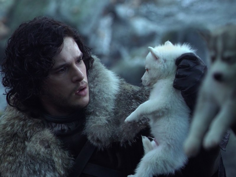 'Game of Thrones ss8': Đạo diễn lý giải vì sao Jon không từ biệt chú chó Ghost trước khi bỏ lại nó 'Game of Thrones ss8': Đạo diễn lý giải vì sao Jon không từ biệt chú chó Ghost trước khi bỏ lại nó