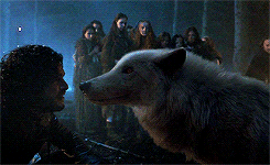'Game of Thrones ss8': Đạo diễn lý giải vì sao Jon không từ biệt chú chó Ghost trước khi bỏ lại nó 'Game of Thrones ss8': Đạo diễn lý giải vì sao Jon không từ biệt chú chó Ghost trước khi bỏ lại nó