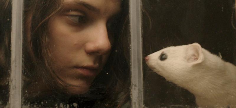 Series mới 'His Dark Materials' được HBO kỳ vọng sẽ là 'Game of Thrones' tiếp theo Series mới 'His Dark Materials' được HBO kỳ vọng sẽ là 'Game of Thrones' tiếp theo